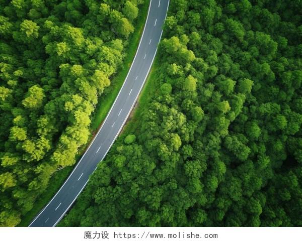 绿色森林公路航拍镜头俯视视角户外旅游风景图